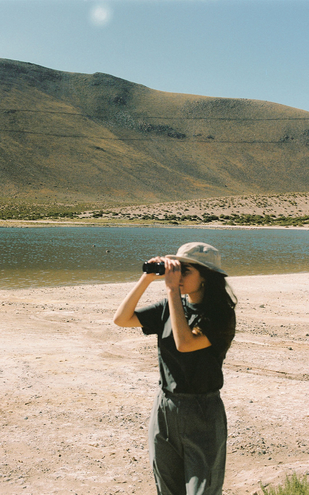 Carlota Bruna — Diseño web